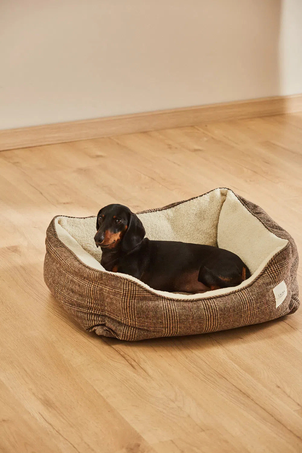 Cama para mascotas desenfundable Scott Calma House