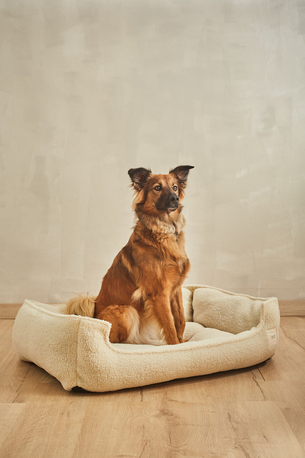 Henry ecru removable cover pet bed