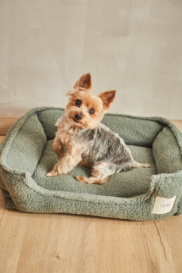 Cama para mascotas desenfundable verde Henry