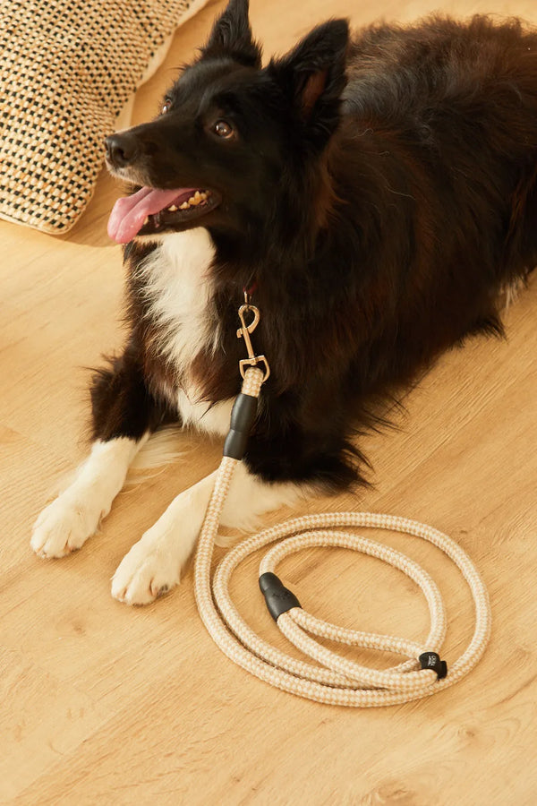 Cotton and linen pet leash Buby