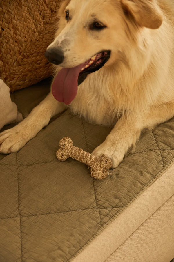 Jouet pour animaux de compagnie en os Buby