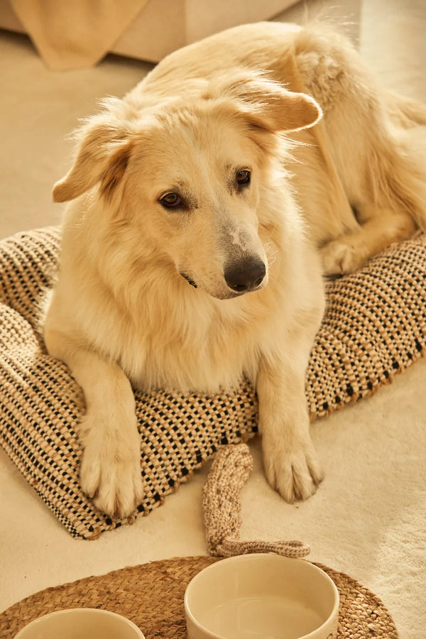 West black cotton and jute pet bed