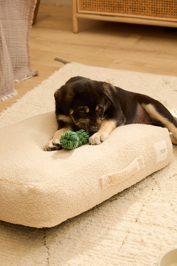 Cojín de suelo desenfundable crudo para mascotas Taico