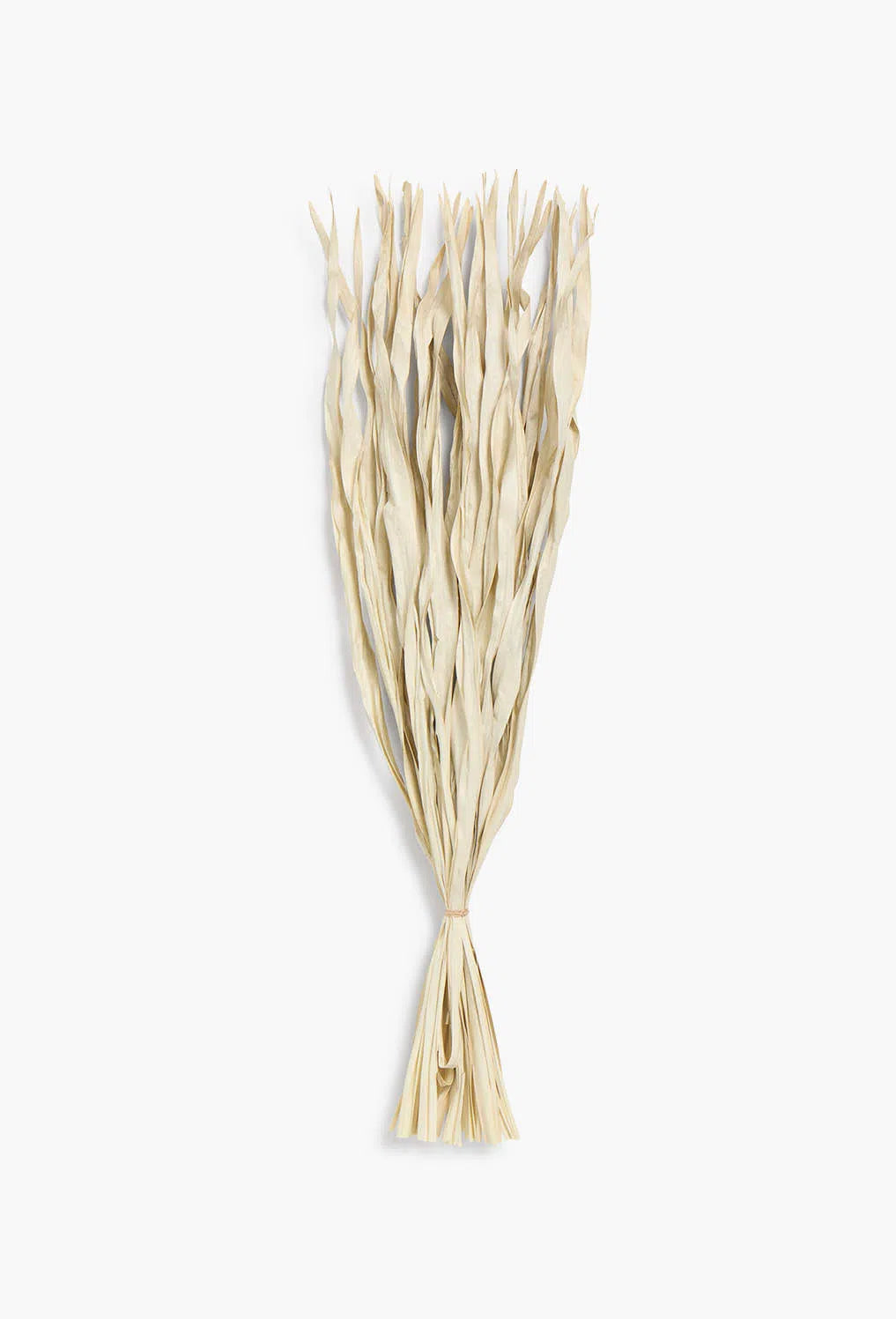 Ramillete de hojas secas gris Rotun-Calma House