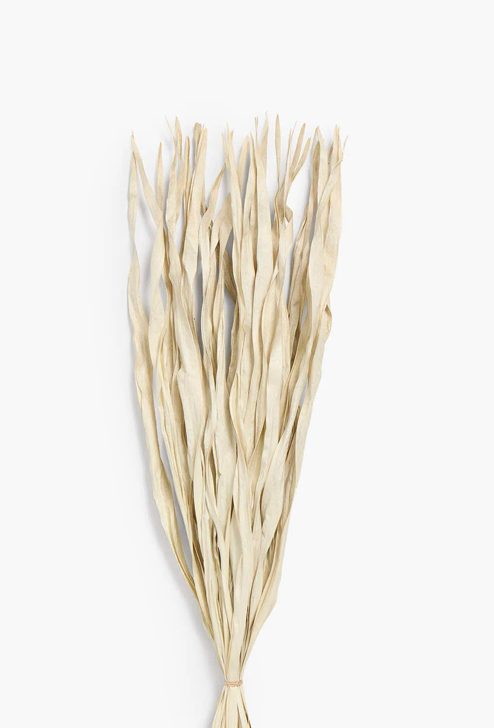 Ramillete de hojas secas gris Rotun-Calma House