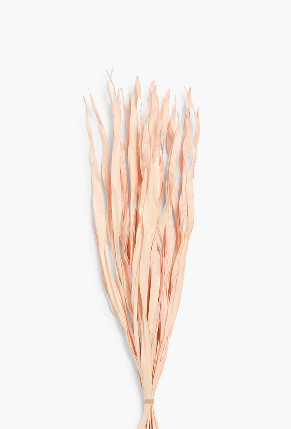 Ramillete de hojas secas marrón Rotun-Calma House