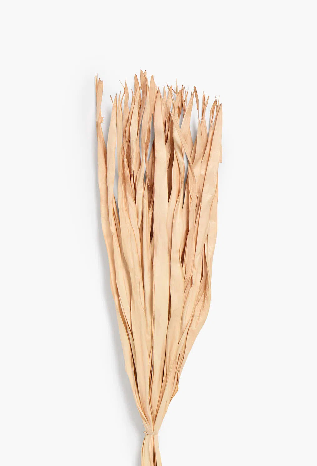 Ramillete de hojas secas rosa Rotun-Calma House