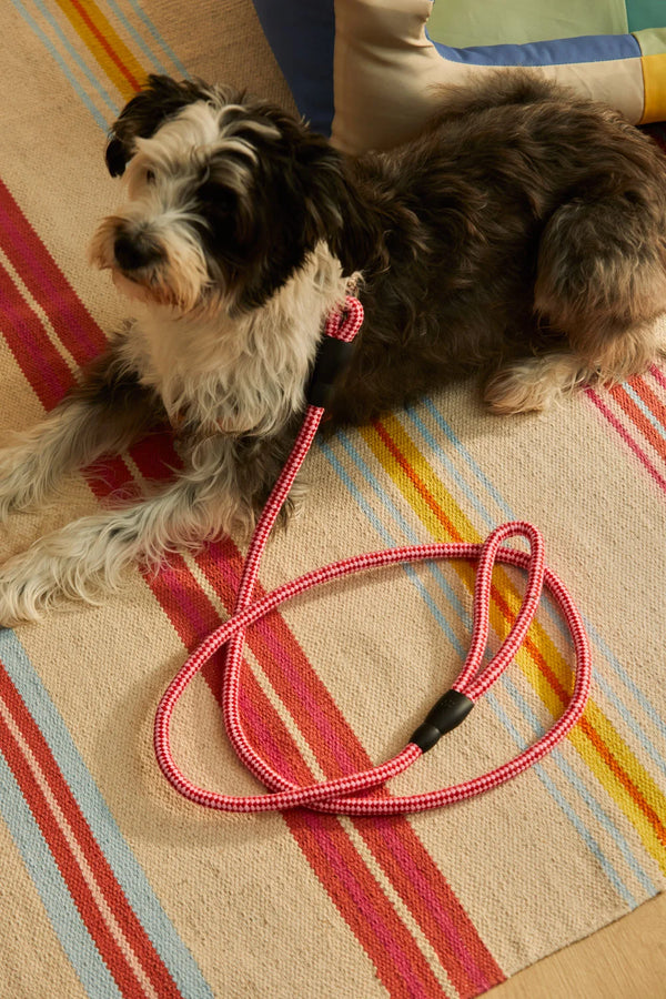 Laisse pour chien rose Buby