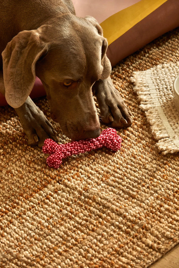 Jouet pour animaux de compagnie rose Buby