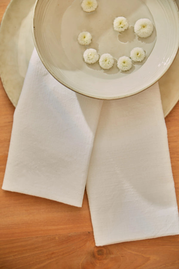 Napkin (set of 2 pcs) white Gavema2