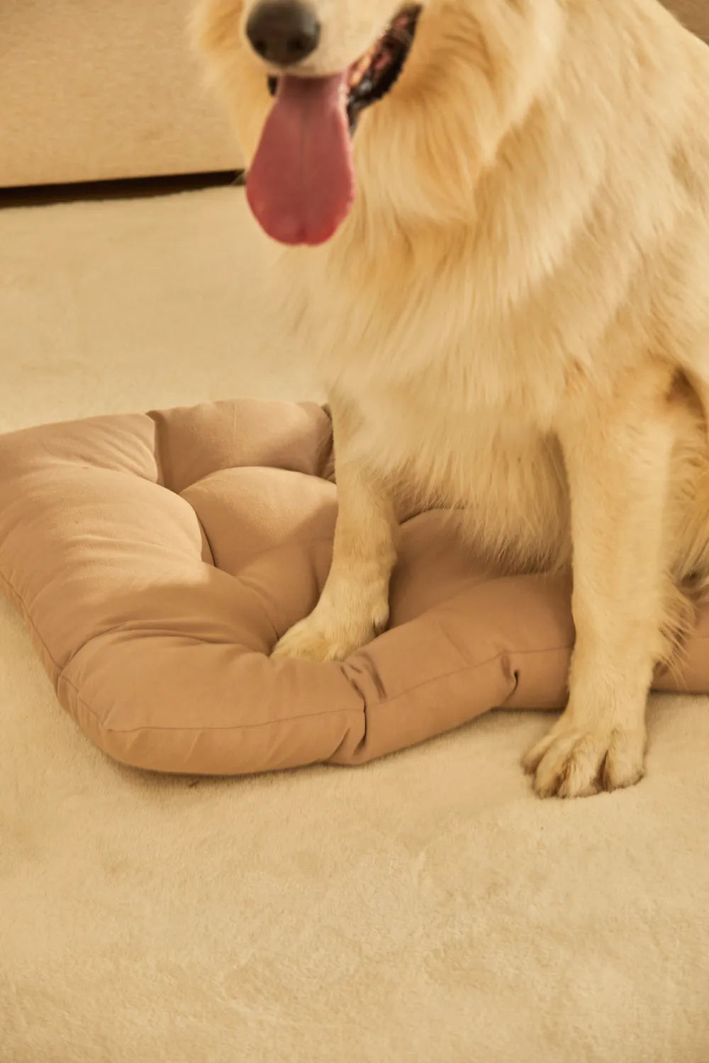 Cama para mascotas acolchada de algodón piedra Gavema-Calma House