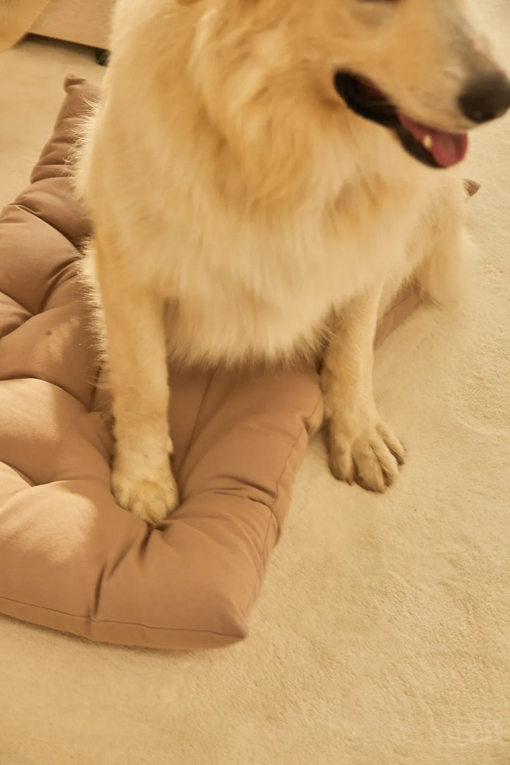 Cama para mascotas acolchada de algodón piedra Gavema-Calma House