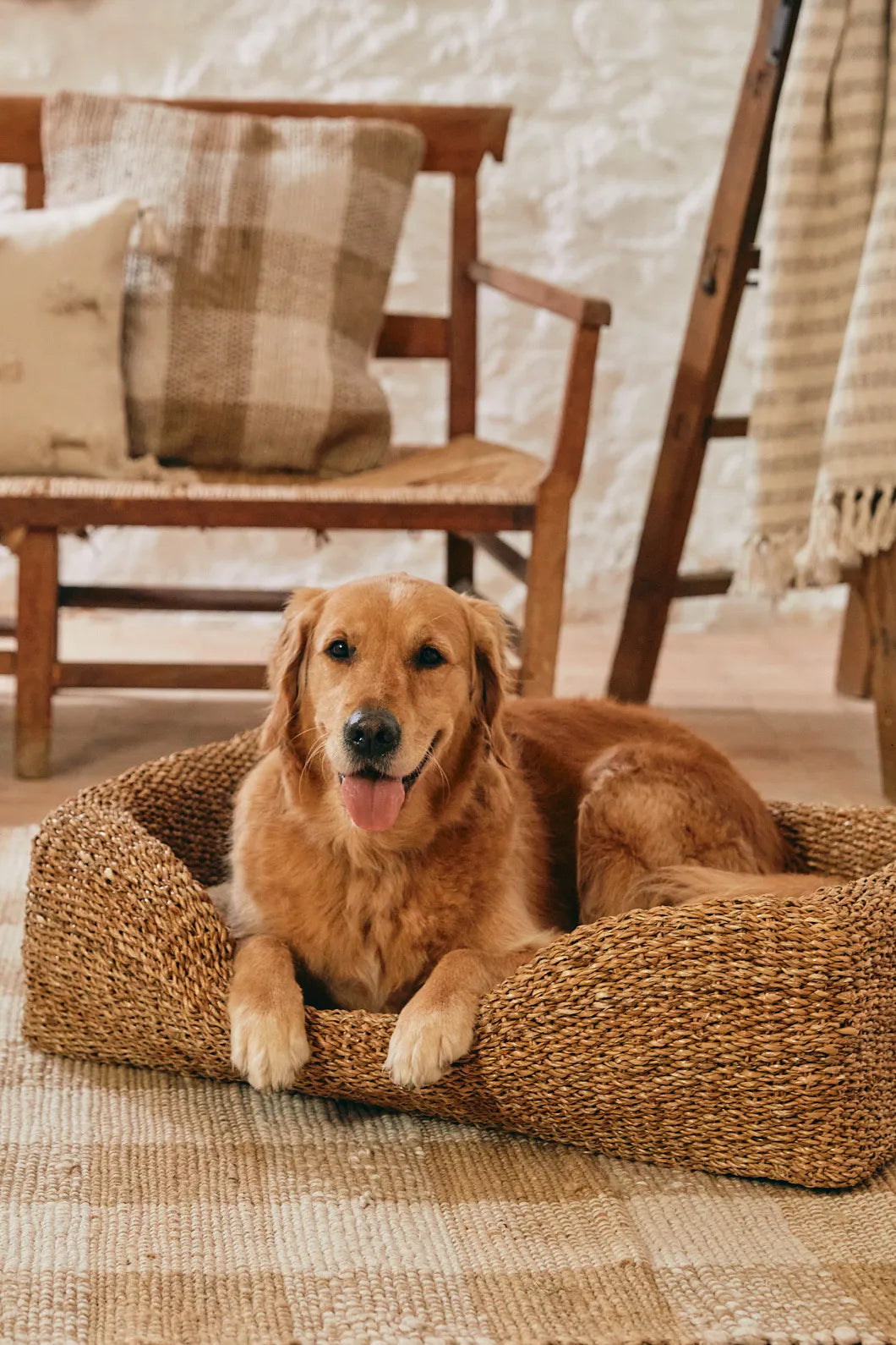 Cama para mascotas de junco de mar Braid con cojín-Calma House