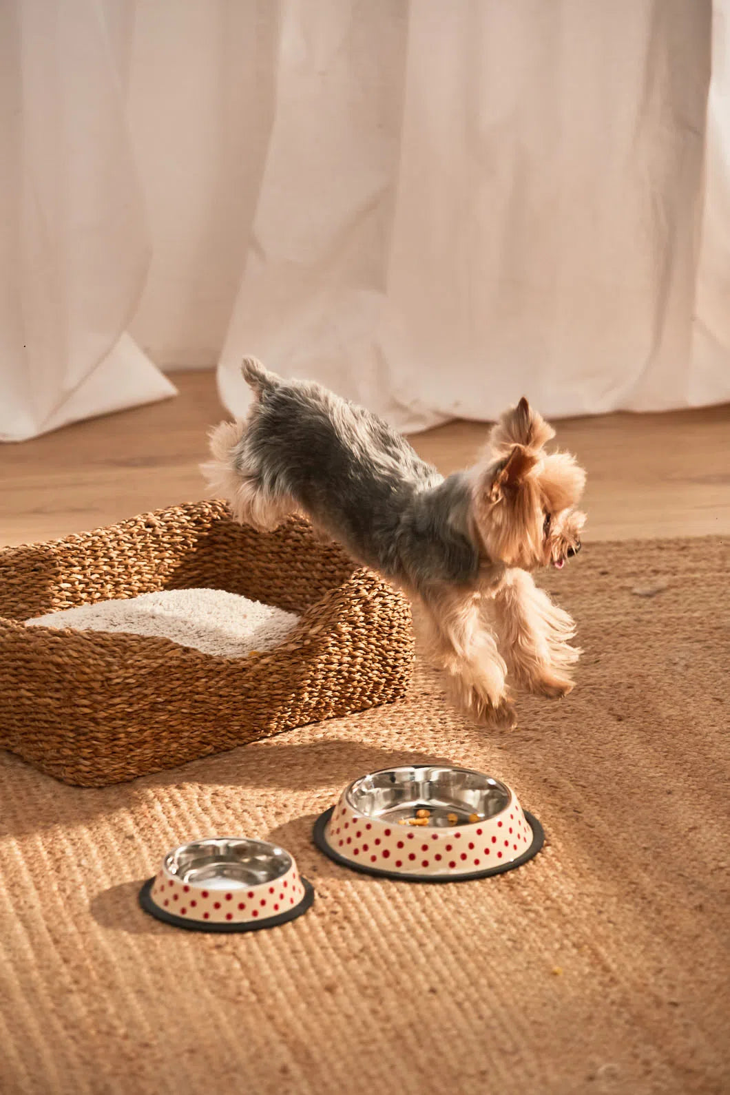 Cama para mascotas de junco de mar Braid-Calma House