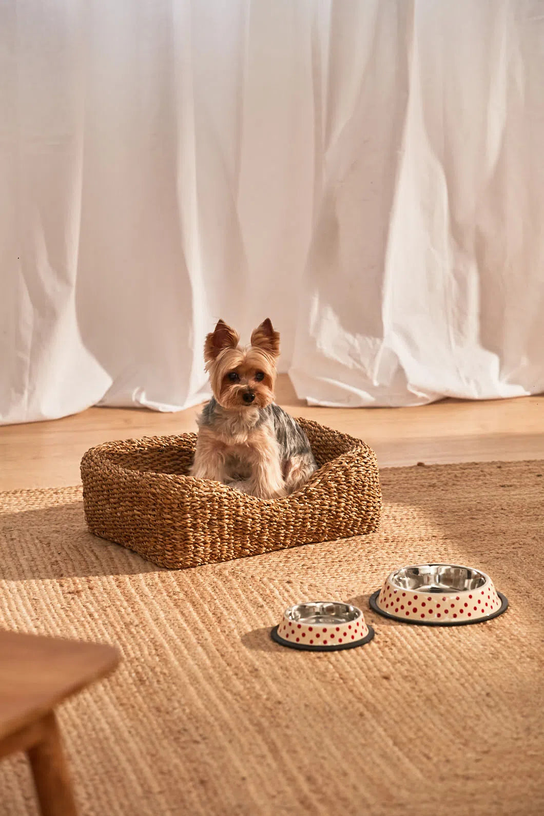 Cama para mascotas de junco de mar Braid-Calma House