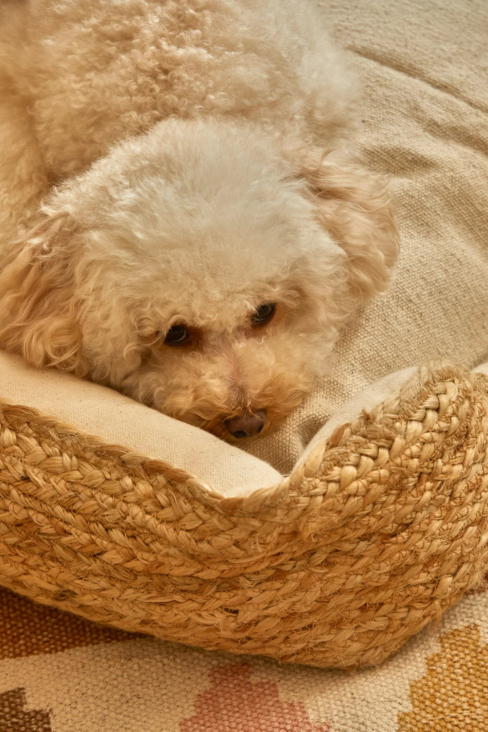 Cama para mascotas de yute Ural-Calma House