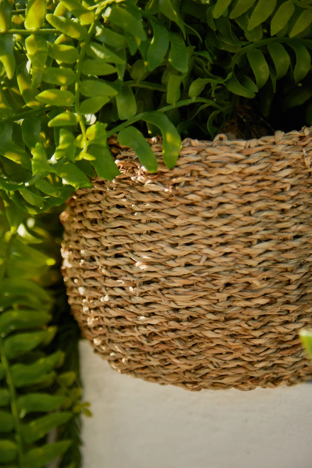 Cesto macetero de junco de mar Phan-Calma House