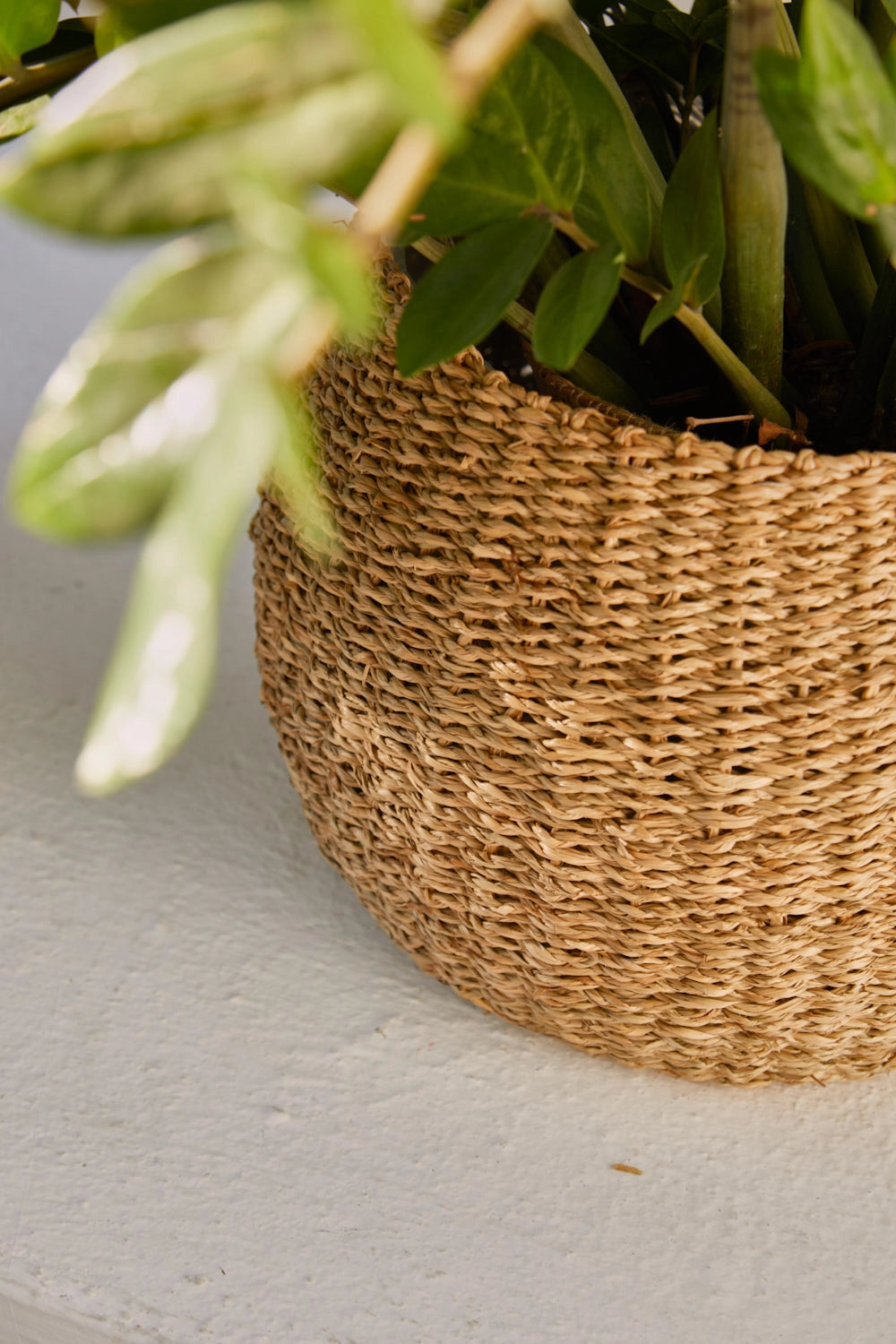 Cesto macetero de junco de mar Phan-Calma House