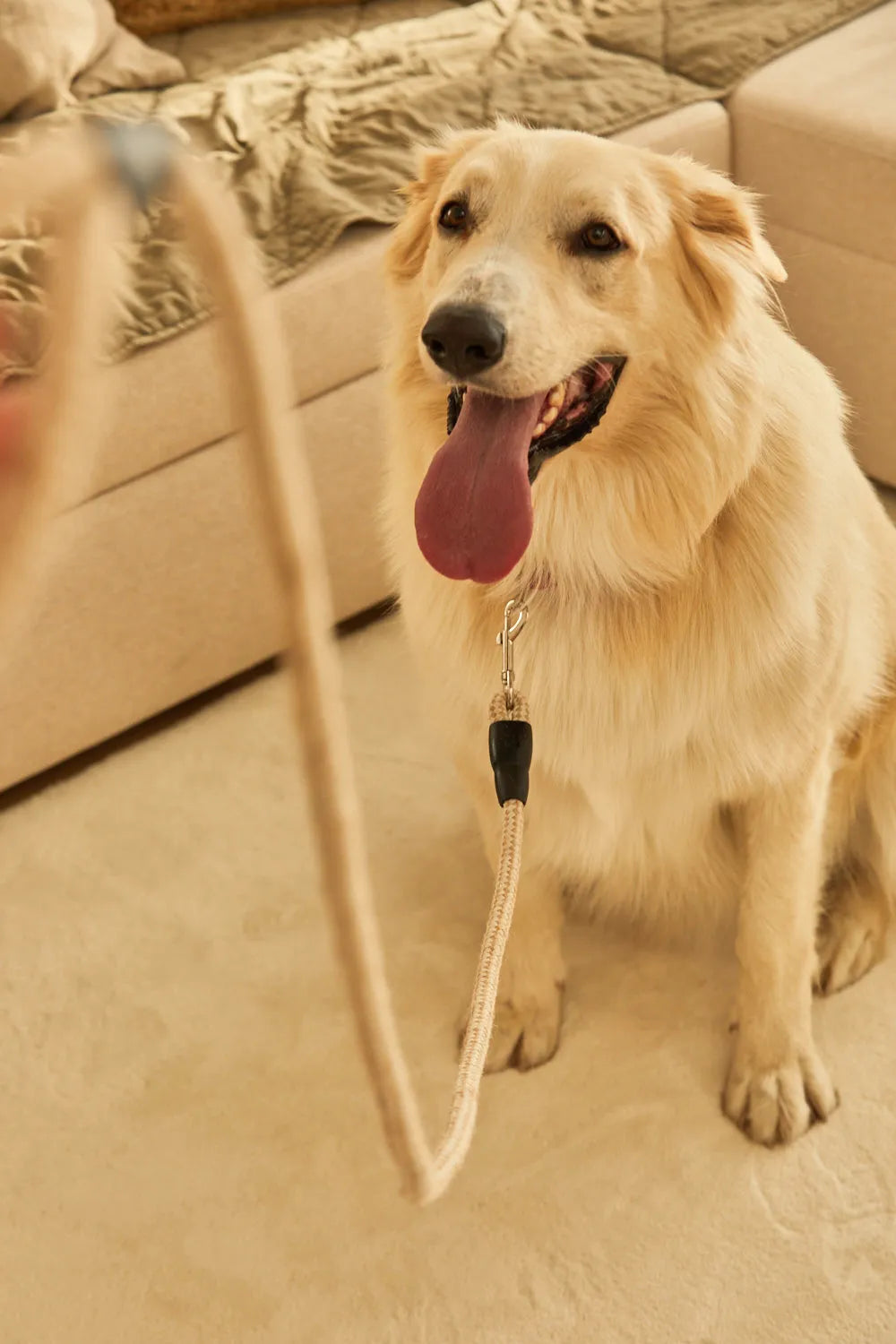 Correa para mascotas de algodón y lino Buby-Calma House