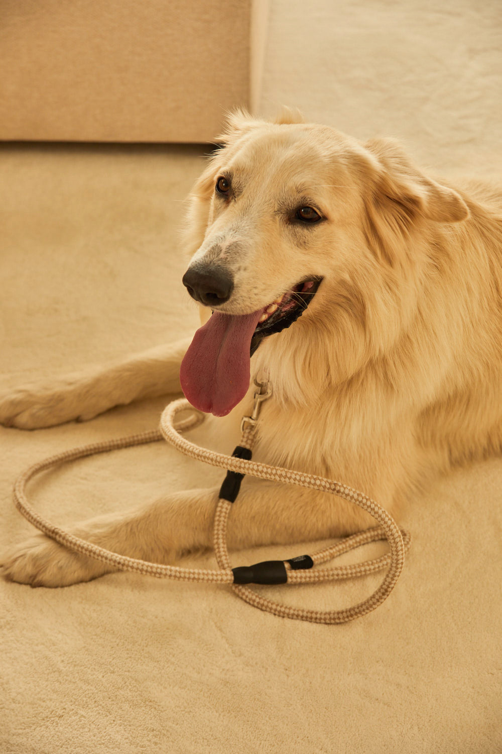 Correa para mascotas de algodón y lino Buby-Calma House