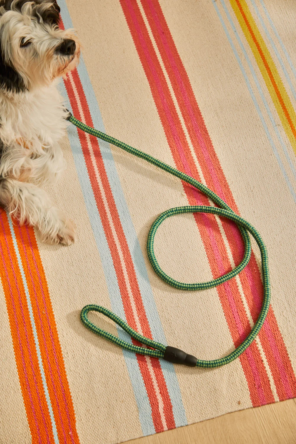 Correa para mascotas verde Buby-Calma House