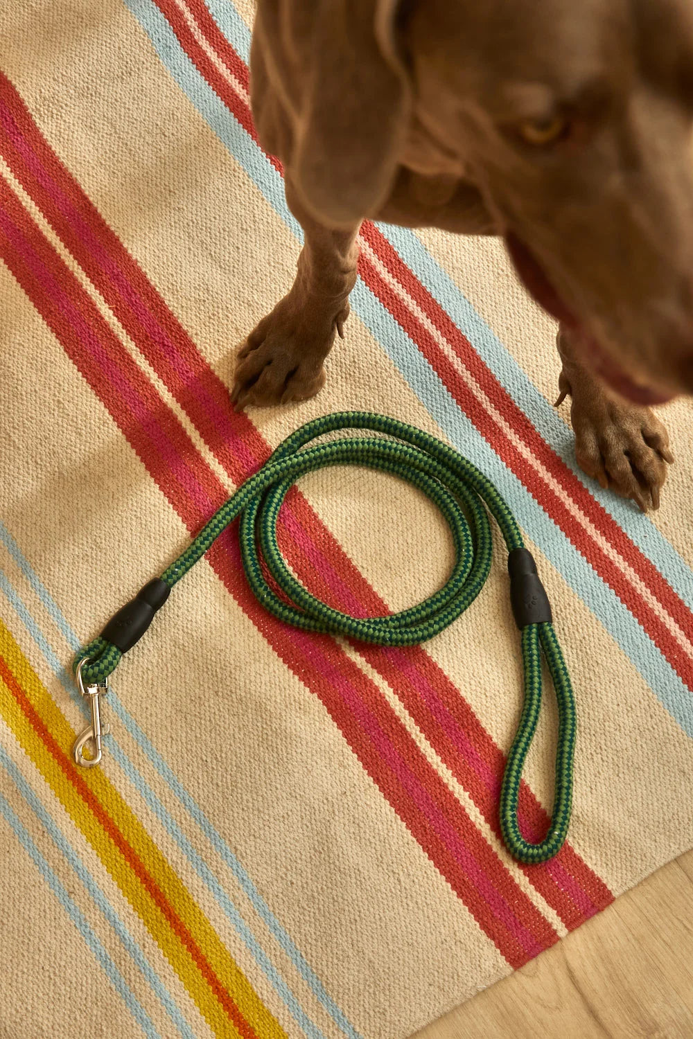 Correa para mascotas verde Buby-Calma House