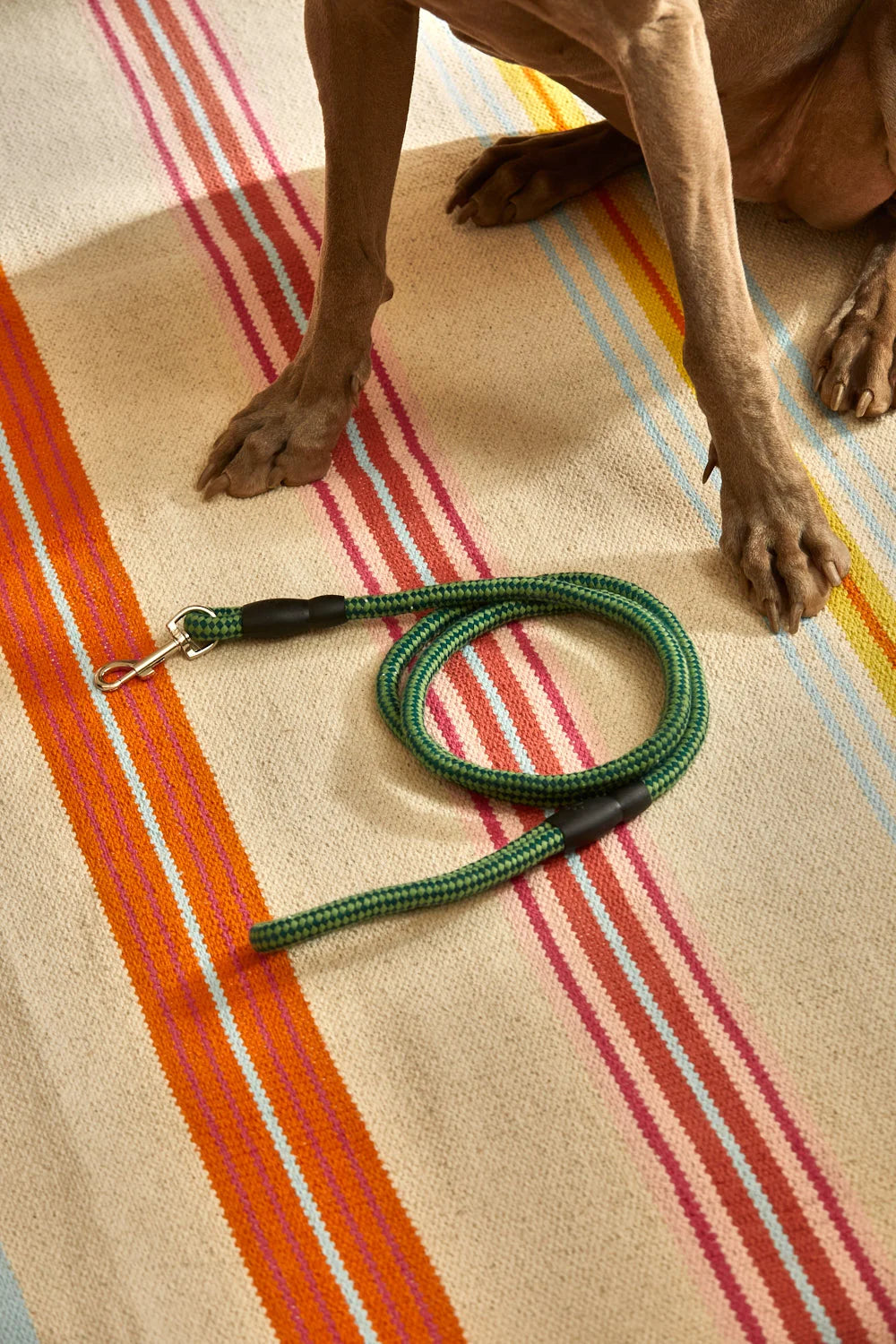 Correa para mascotas verde Buby-Calma House