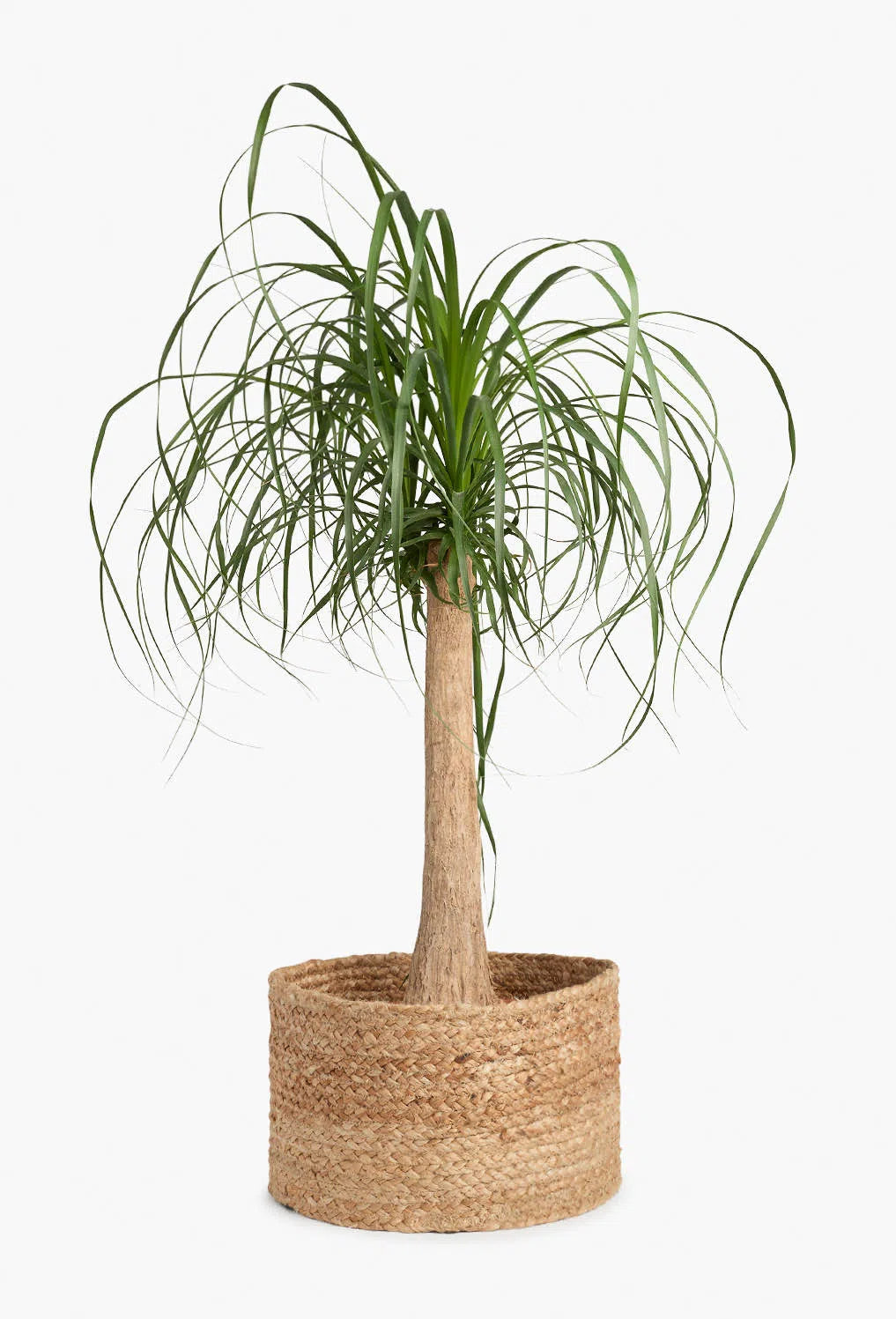 Cubre macetas de yute Ural-Calma House