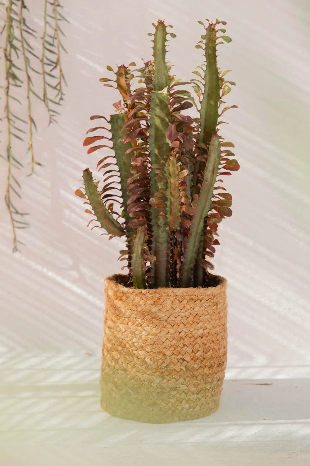 Cubre macetas de yute Ural-Calma House