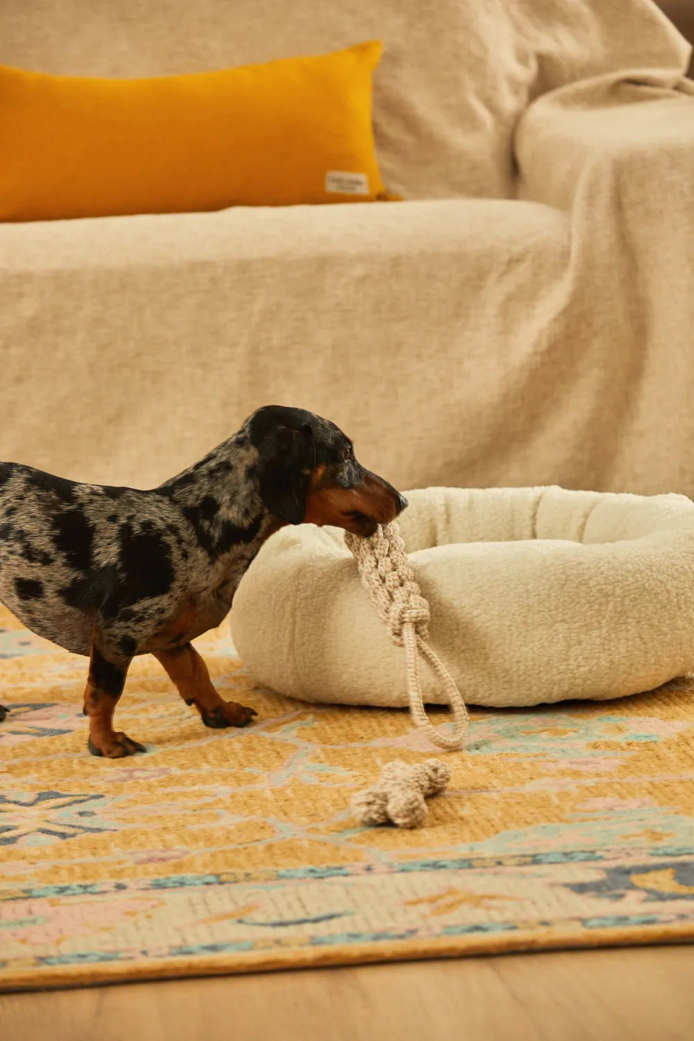 Juguete para mascotas con tirador cuerda Buby-Calma House