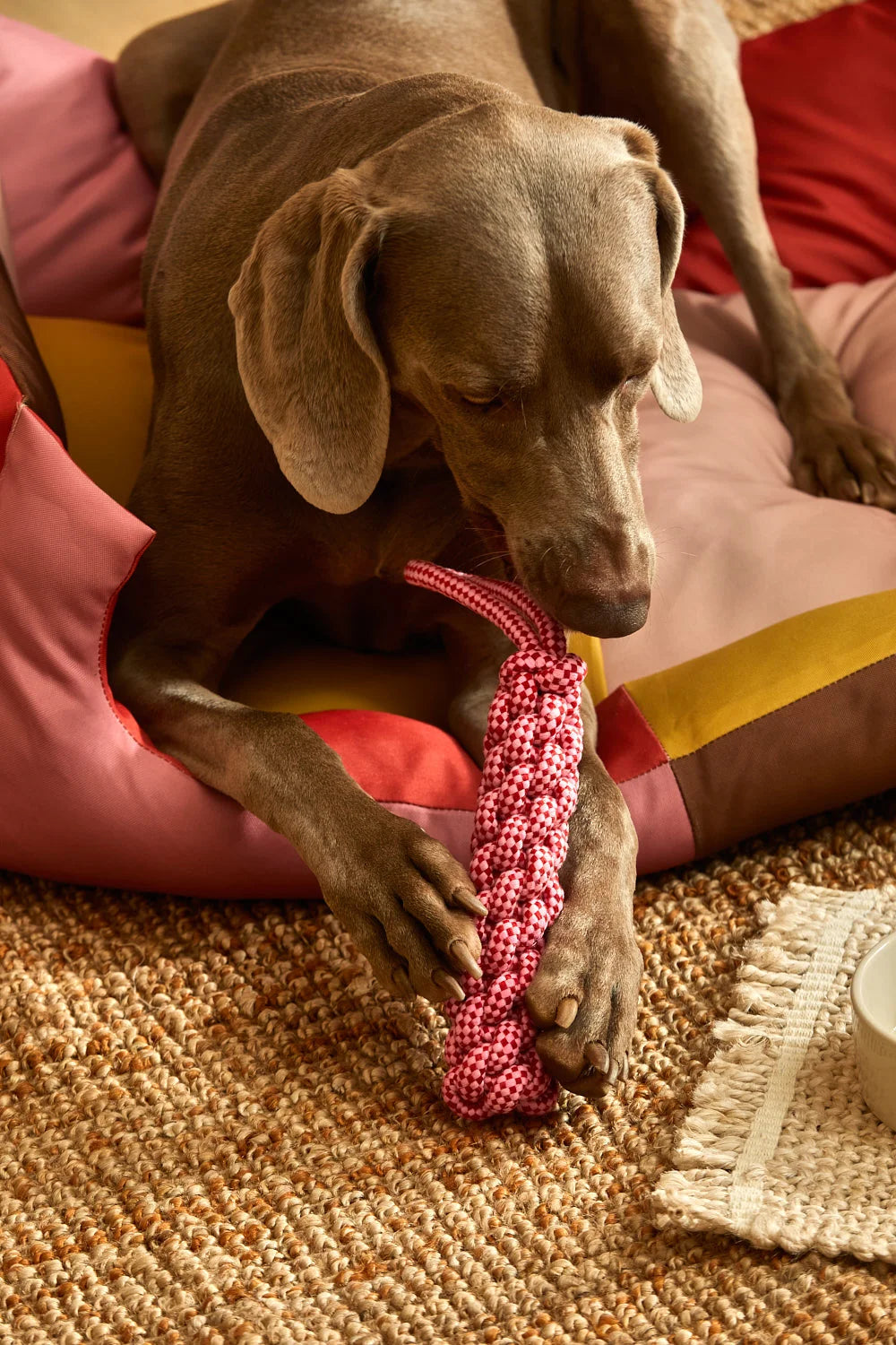 Juguete para mascotas con tirador cuerda rosa Buby-Calma House
