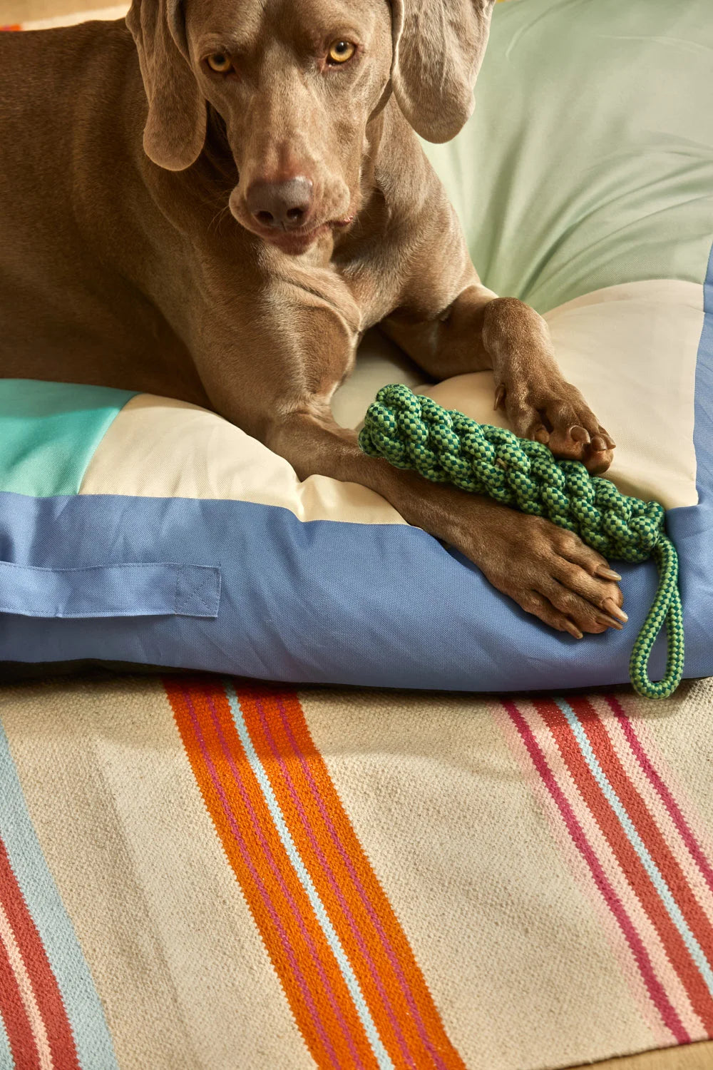 Juguete para mascotas con tirador cuerda verde Buby-Calma House