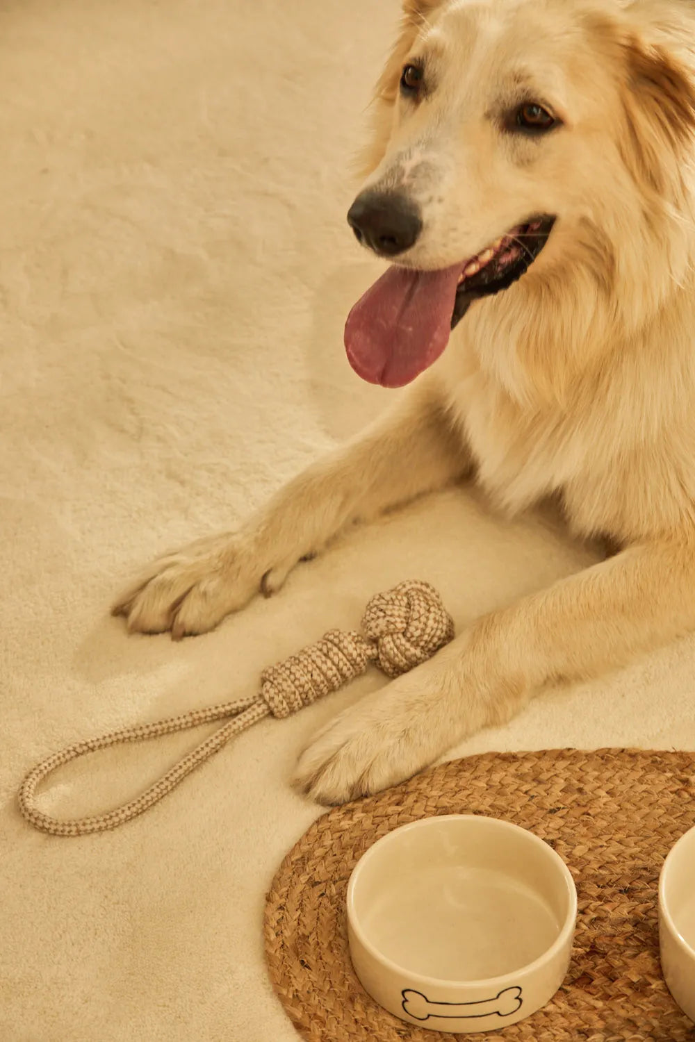 Juguete para mascotas con tirador pelota Buby-Calma House