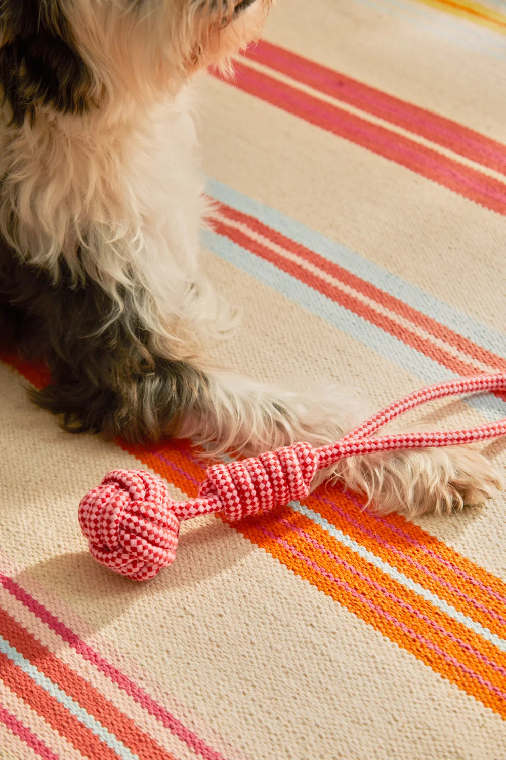 Juguete para mascotas con tirador pelota rosa Buby-Calma House