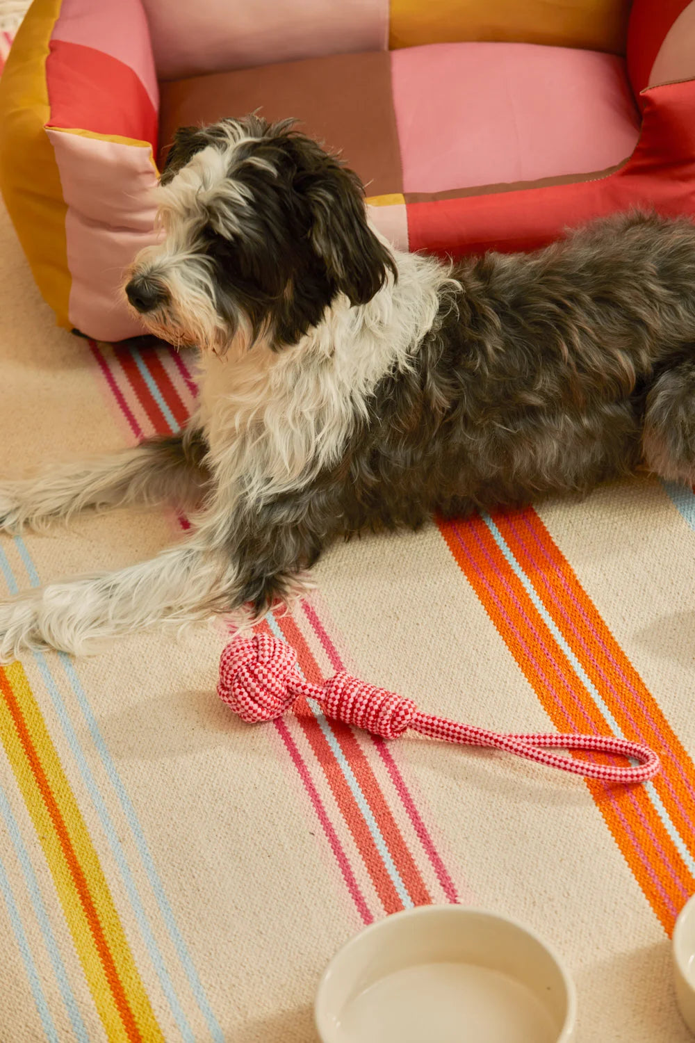 Juguete para mascotas con tirador pelota rosa Buby-Calma House