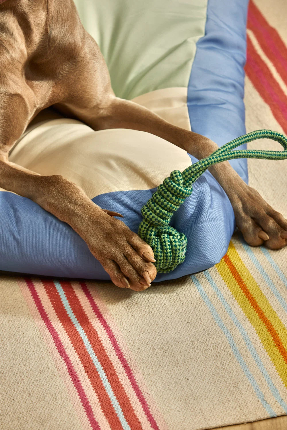 Juguete para mascotas con tirador pelota verde Buby-Calma House