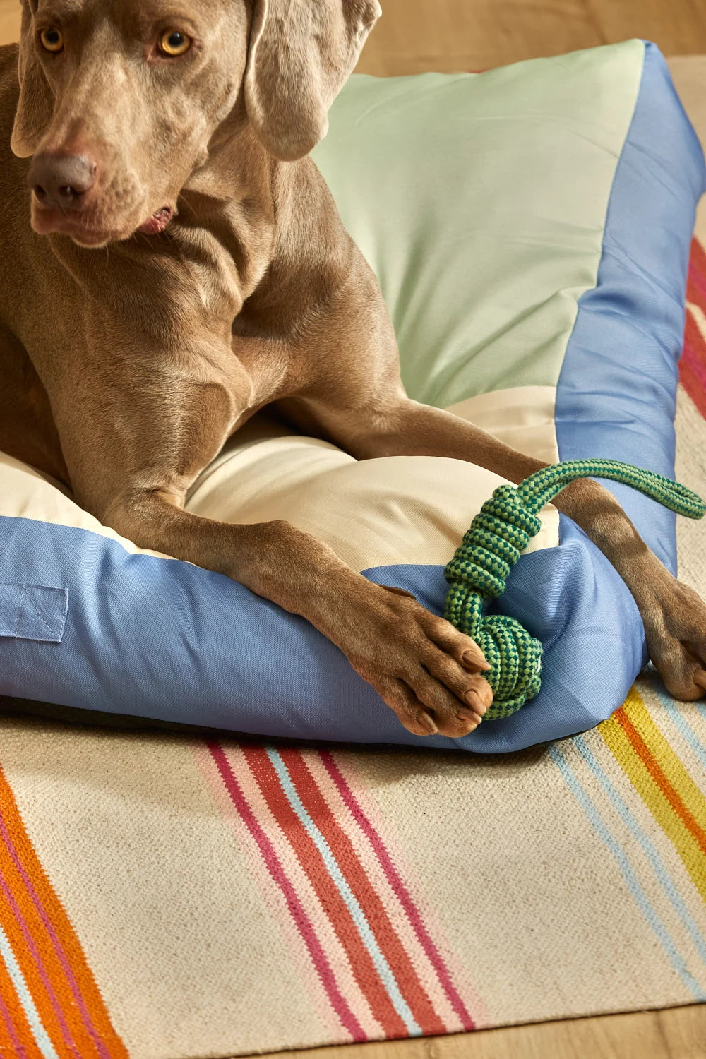 Juguete para mascotas con tirador pelota verde Buby-Calma House