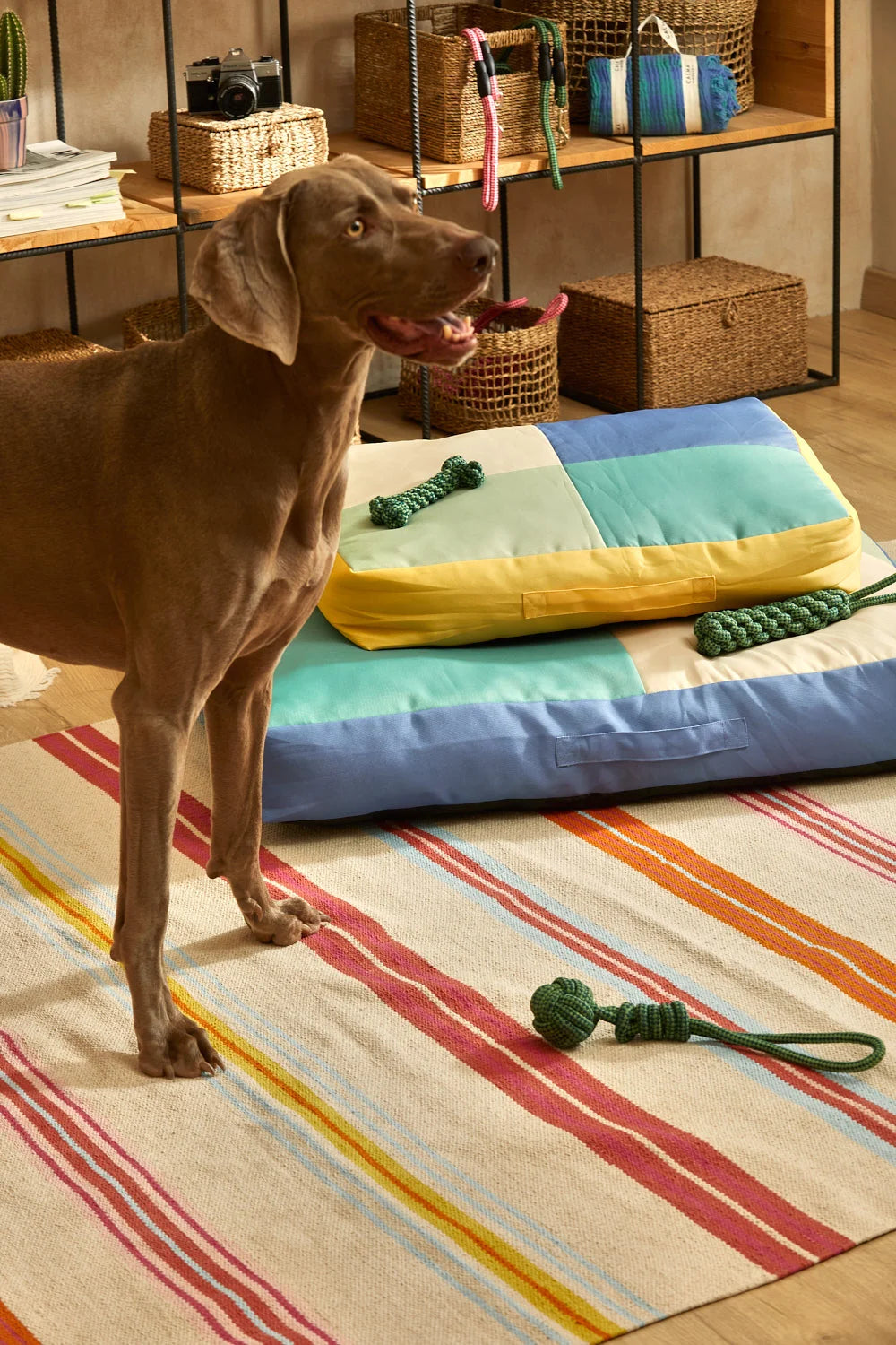 Juguete para mascotas con tirador pelota verde Buby-Calma House