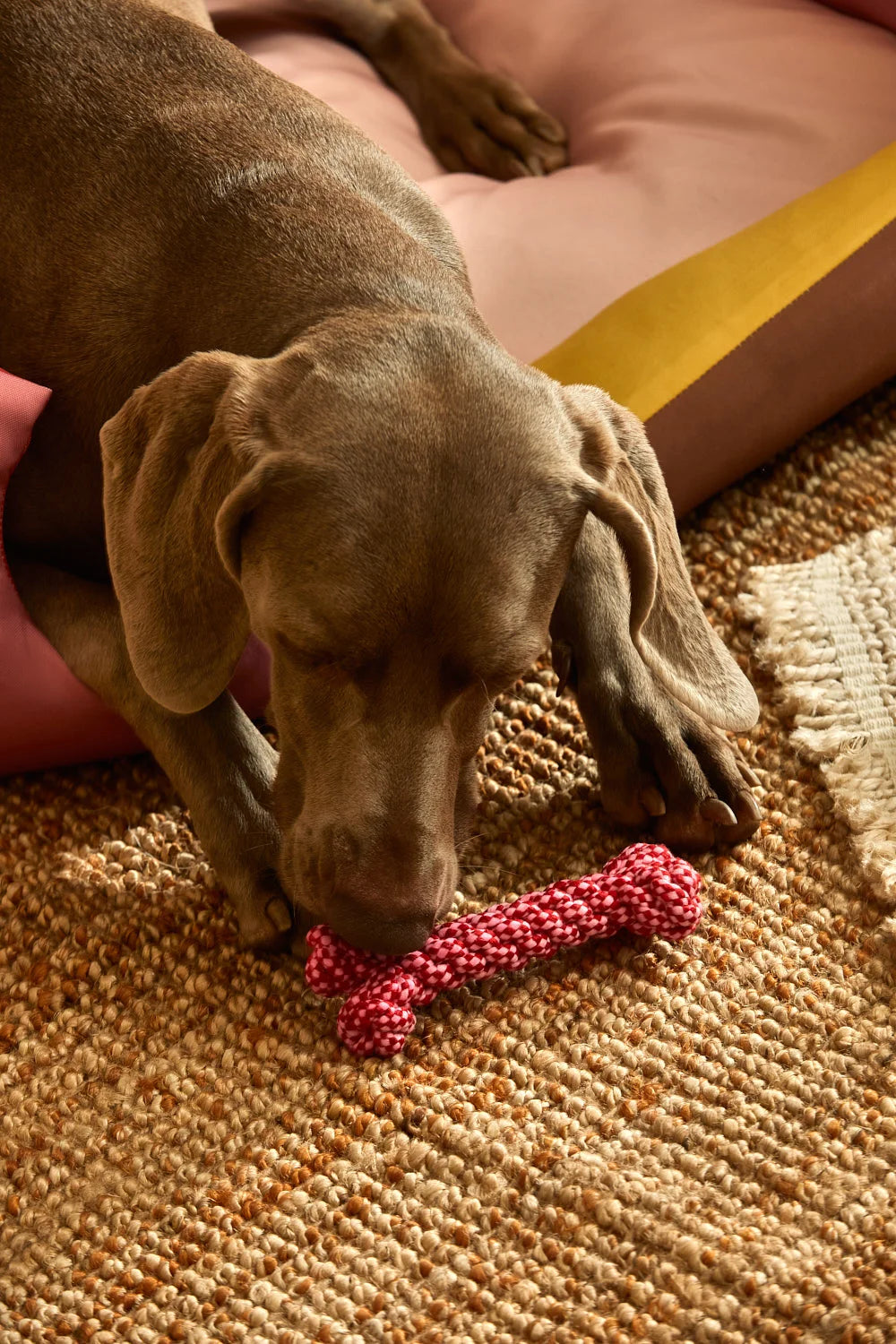 Juguete para mascotas hueso rosa Buby-Calma House