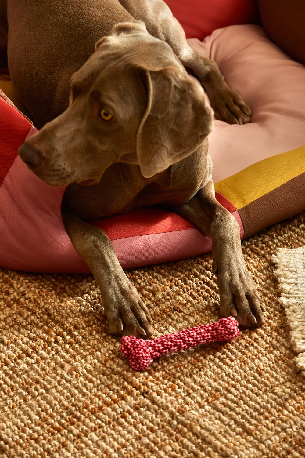 Juguete para mascotas hueso rosa Buby-Calma House