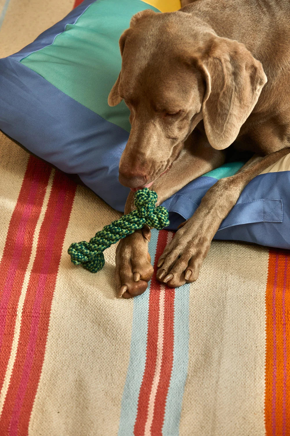 Juguete para mascotas hueso verde Buby-Calma House