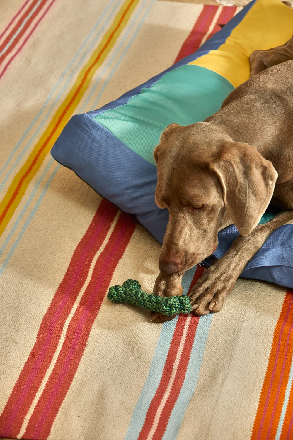 Juguete para mascotas hueso verde Buby-Calma House