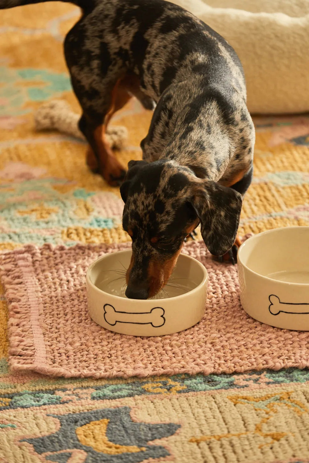 Plato para mascotas Sasha-Calma House