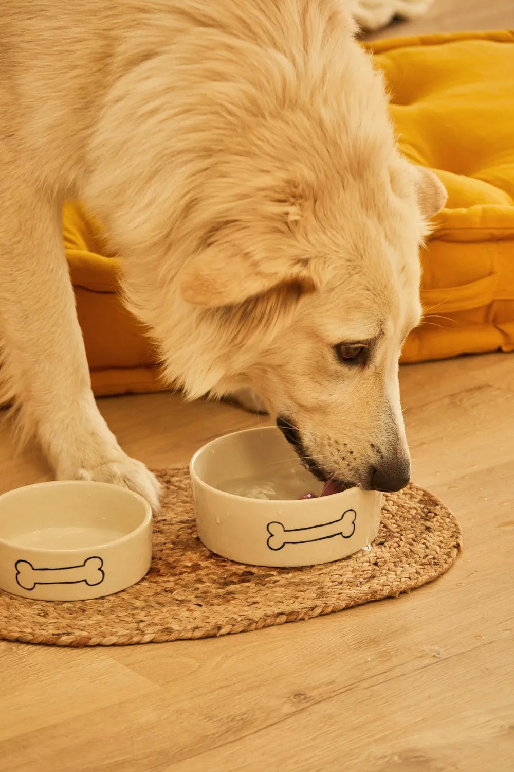 Plato para mascotas Sasha-Calma House