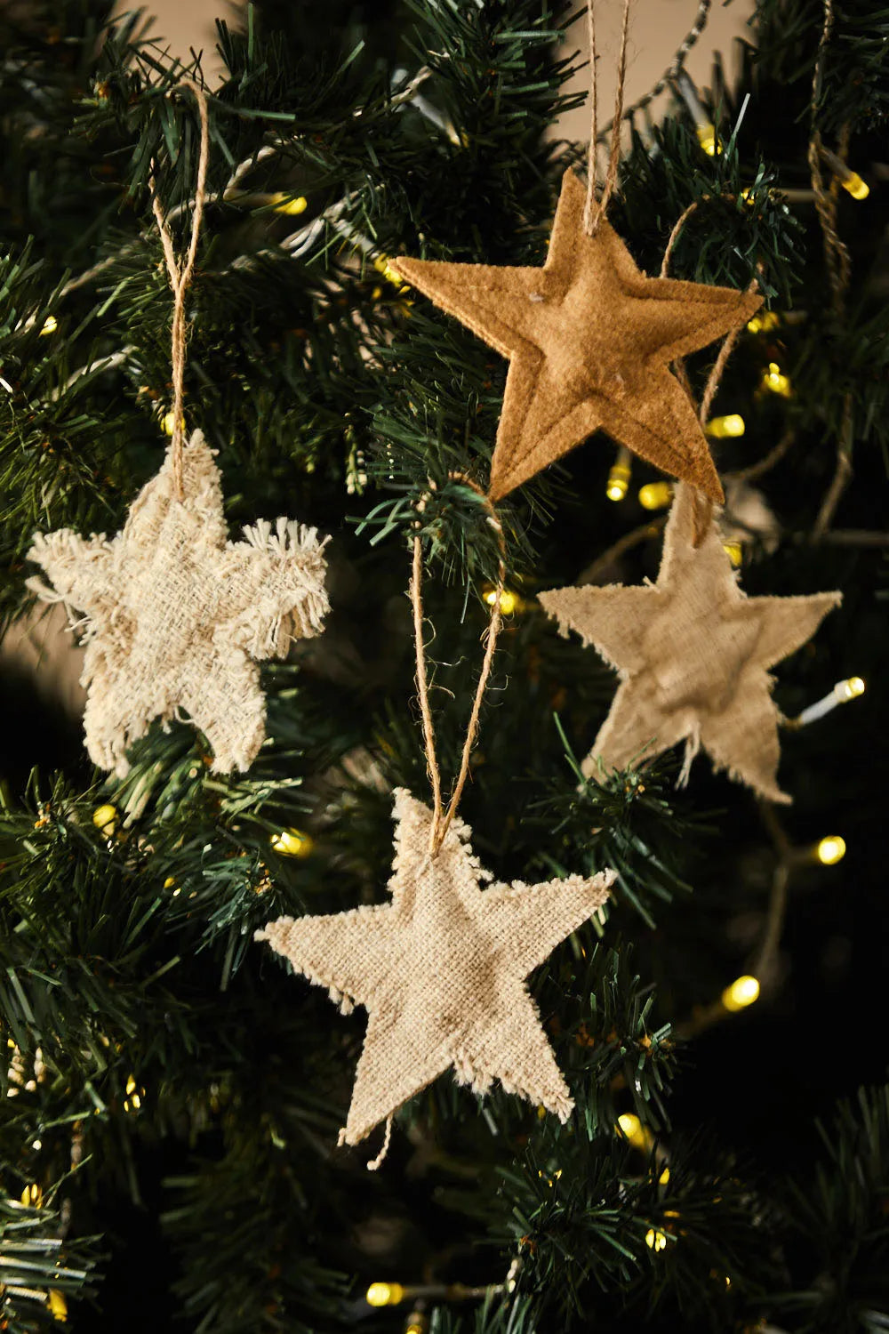 Surtido de 4 estrellas navideñas Star-Calma House